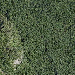 Satellite imagery of Mount Hallowell, CA