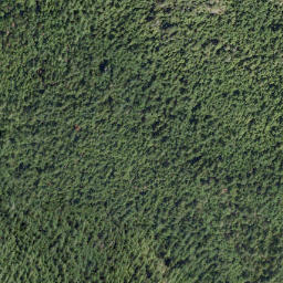 Satellite imagery of Mount Hallowell, CA