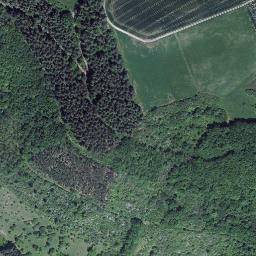 Satellite imagery of Stried, DE