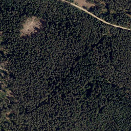 Satellite imagery of Rehbühl, DE