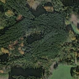 Satellite imagery of Třešňovec [Přimda-Újezd], CZ