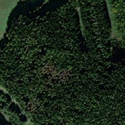 Satellite imagery of Novodvorský kopec [Světlá nad Sázavou-Horní Dlužiny], CZ