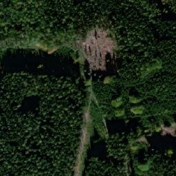 Satellite imagery of Novodvorský kopec [Světlá nad Sázavou-Horní Dlužiny], CZ
