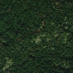 Satellite imagery of Bubnovaný kopec, CZ