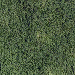 Satellite imagery of Mount Hallowell, CA