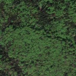 Satellite imagery of Signalstein, DE