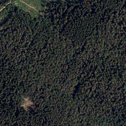 Satellite imagery of Rehbühl, DE
