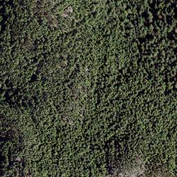 Satellite imagery of Mount Hallowell, CA