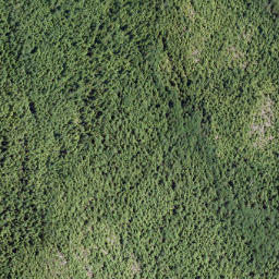Satellite imagery of Mount Hallowell, CA