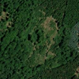Satellite imagery of Schwandelskopf, DE