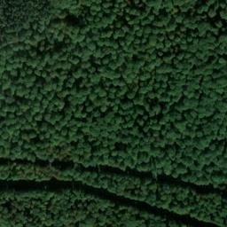 Satellite imagery of Osterberg, DE