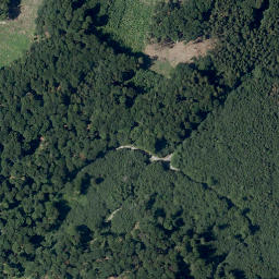 Satellite imagery of Das Buch, DE