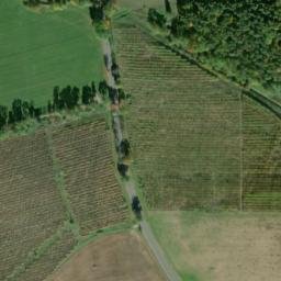 Satellite imagery of [Bor u Tachova] former brickyard chimney, CZ