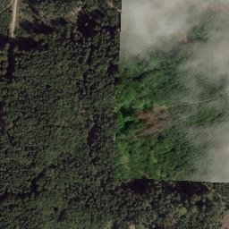 Satellite imagery of (Vysoký les) [Rozvadov-Nové Domky], CZ