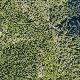 Satellite imagery of Mount Mulligan, CA