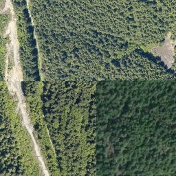 Satellite imagery of Mount Mulligan, CA