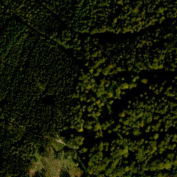 Satellite imagery of Kohlplatte, DE