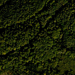 Satellite imagery of Kohlplatte, DE