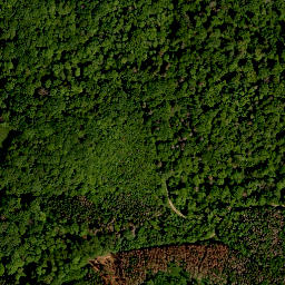 Satellite imagery of Enzlarberg, DE