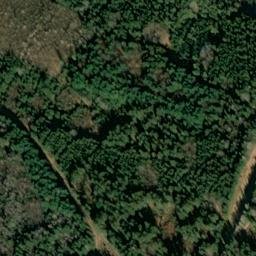 Satellite imagery of Zenkenberg, DE