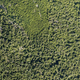 Satellite imagery of Mount Mulligan, CA