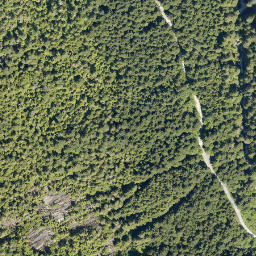 Satellite imagery of Mount Mulligan, CA