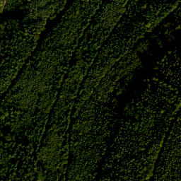 Satellite imagery of Geisbuckel, DE