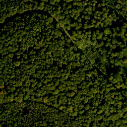 Satellite imagery of Buchberg, DE