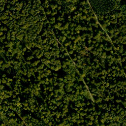 Satellite imagery of Buchberg, DE