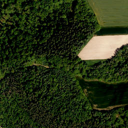 Satellite imagery of Enzlarberg, DE