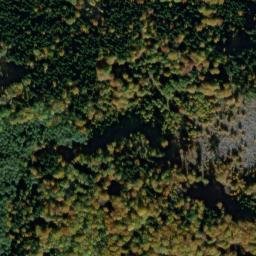 Satellite imagery of [Přimda] burg t., CZ