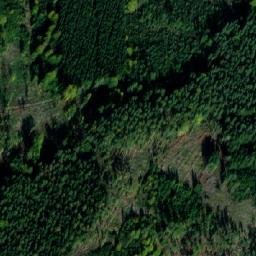 Satellite imagery of Javornická hůra [Javorník u Vlašimi], CZ