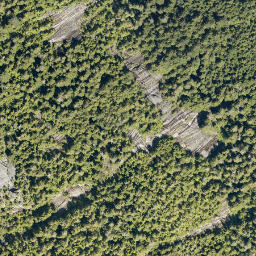 Satellite imagery of Mount Mulligan, CA