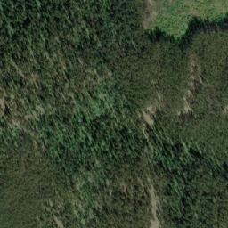Satellite imagery of McGillivray Ridge, CA