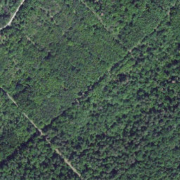 Satellite imagery of Rotenberg, DE