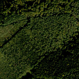 Satellite imagery of Gönzstein, DE