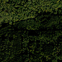 Satellite imagery of Gönzstein, DE