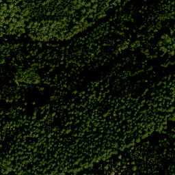 Satellite imagery of Gönzstein, DE