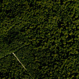 Satellite imagery of Buchberg, DE