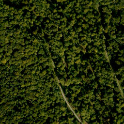 Satellite imagery of Buchberg, DE