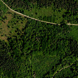 Satellite imagery of Enzlarberg, DE