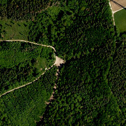 Satellite imagery of Enzlarberg, DE