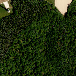 Satellite imagery of Enzlarberg, DE