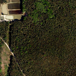 Satellite imagery of Pfaffenberg, DE