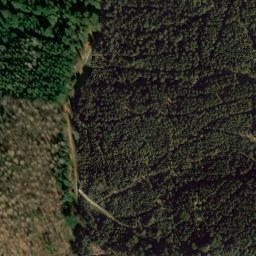 Satellite imagery of Wolfswinkelberg, DE