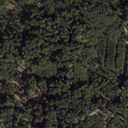Satellite imagery of Schneeberg, DE