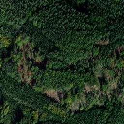 Satellite imagery of Javornická hůra [Javorník u Vlašimi], CZ