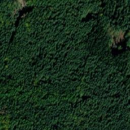 Satellite imagery of Javornická hůra [Javorník u Vlašimi], CZ