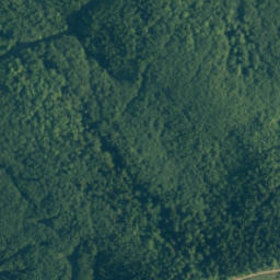 Satellite imagery of survey_point, PL