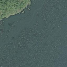 Satellite imagery of Salter Point, CA